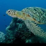 Lyn Forster - @seachange52 - Instagram