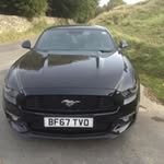 Lyn Forster - @lynjoyforster - Instagram