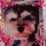 Lyn Freeman - @lyndyloony - Instagram