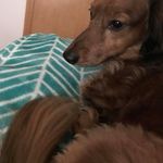 Lyn Deloria Goldsmith - @deloriagoldsmith - Instagram