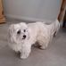 Lyn Goldsmith - Facebook