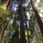 Lyn Goldsmith - @lyn.goldsmith.5 - Instagram