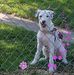 Lynn Goldsmith - Facebook