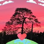 Lyn Hall - @lynhall6677 - Instagram