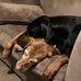 Lynn Henry - Facebook