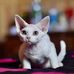 Lyn Hoffman - Facebook