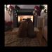 Lynn Hoffmann - Facebook