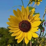 Lyn Howe - @lyn.howe.75 - Instagram