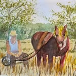 Lyn Howe - @lynhowe1 - Instagram