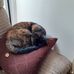 Lyn Howe - Facebook