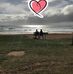 Lyn Howe - Facebook