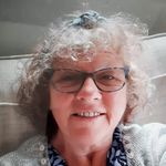 Lyn Hunt - @snowgooseytextileart - Instagram
