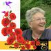 Lynne Jackman - Facebook