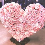 lyn keller - @keller1176pr - Instagram
