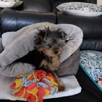 Lyn Kendrick - @lynnykendo - Instagram