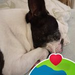 Lyn Kendrick - Facebook