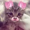 gracelynmagee691 - @gracelynmagee691 - TikTok