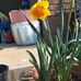 Lyn Magee - Facebook