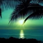 Lyn Marshall - @lynmarshall55 - Instagram
