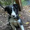 Lynne Mather - @lynne.mather7 - TikTok
