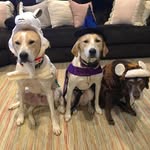 Trisha Lyn Englin Mather - @englinmather - Instagram