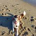 Lyn Murphy - Facebook