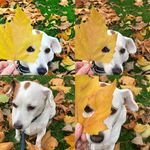 Lyn Murphy - @lm_741968 - Instagram