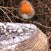 Lyn Murphy - Facebook