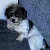Lynn Patton - @lynnpatton_ - TikTok
