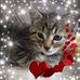 Lyn Payne - Facebook