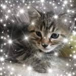 Lyn Payne - @lyn.holtum.77 - Instagram