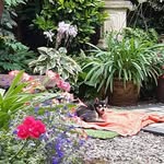 Lyn Payne - @lynpayne45 - Instagram