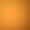 Lyn Pearson - @lyn.pearson00 - TikTok