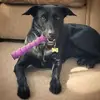 Lynne Pearson - @lynne.pearson - TikTok