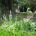 Lyn Pugh - Facebook