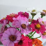 Lyn Pugh - Facebook