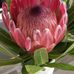 Lyn Robinson - Facebook