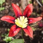Lyn Robinson - @lyn.robinson.1023 - Instagram