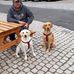 Lyn Robinson - Facebook