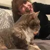lynnerosenthal815 - @lynnerosenthal815 - TikTok