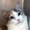 lynnerosenthal - @lynnerosenthal - TikTok
