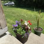 Lynn Sims - Facebook