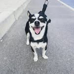 ŞimŞek - @lyn.simsek01 - Instagram
