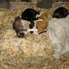 lynnesteadman485 - @lynnesteadman485 - TikTok