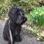 Lyn Walsh - @lynwalsh5 - Instagram