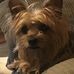 Lyn Weber - Facebook