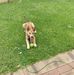 Lyn Yates - Facebook