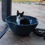 Lyn Yates - @tink.55 - Instagram