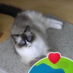 Lyn Yates - @lynwood500 - Instagram