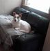 Lynda Barrow - Facebook